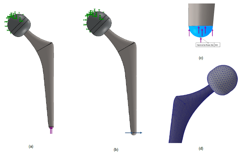 Fig. 1: Constraints and conditions of vertical (a) and horizontal (b) load. Zoom on the load application area (c). Difference in discretization between head and stem (d)