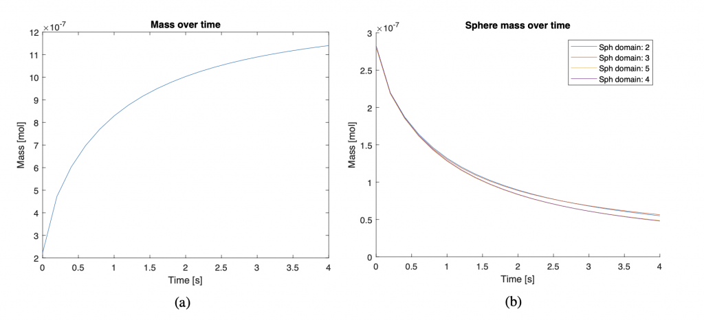 FIG. 6: Variazione della massa nel tempo nel cilindro (a) e nelle sfere (b). Tali curve rappresentano la quantità di
farmaco che diffonde al passare del tempo.
