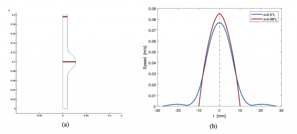 FIG. 4: Linee di taglio (a) utilizzate per la lettura della velocità (b) rispetto la coordinata radiale. Si osservi come il profilo di velocità è parabolico nella zona centrale e tende ad essere molto basso, seppur non nullo, nelle zone laterali della zona aneurismatica.