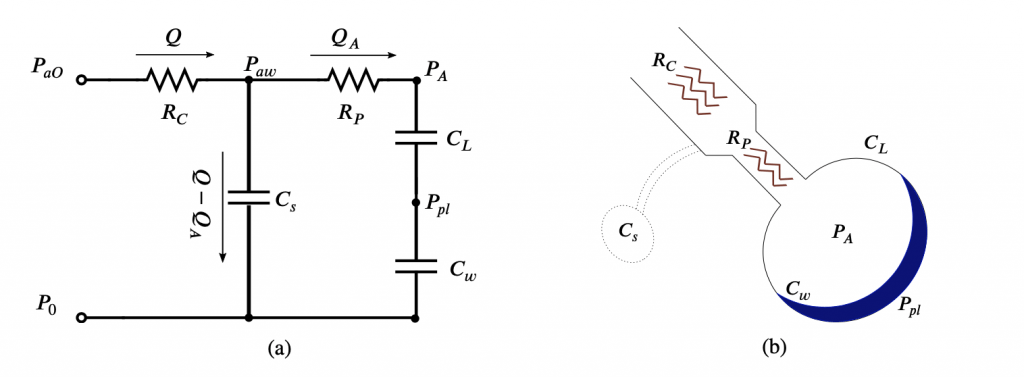 FIG. 1: Analogia circuitale della meccanica respiratoria [3] (a); Rappresentazione schematica della divisione del circuito polmonare in due contributi resistivi (vie aeree superiori e inferiori) e in due contributi capacitivi (compliance del polmone e della parete toracica), raffigurate anche la pressione alveolare e pleurica.