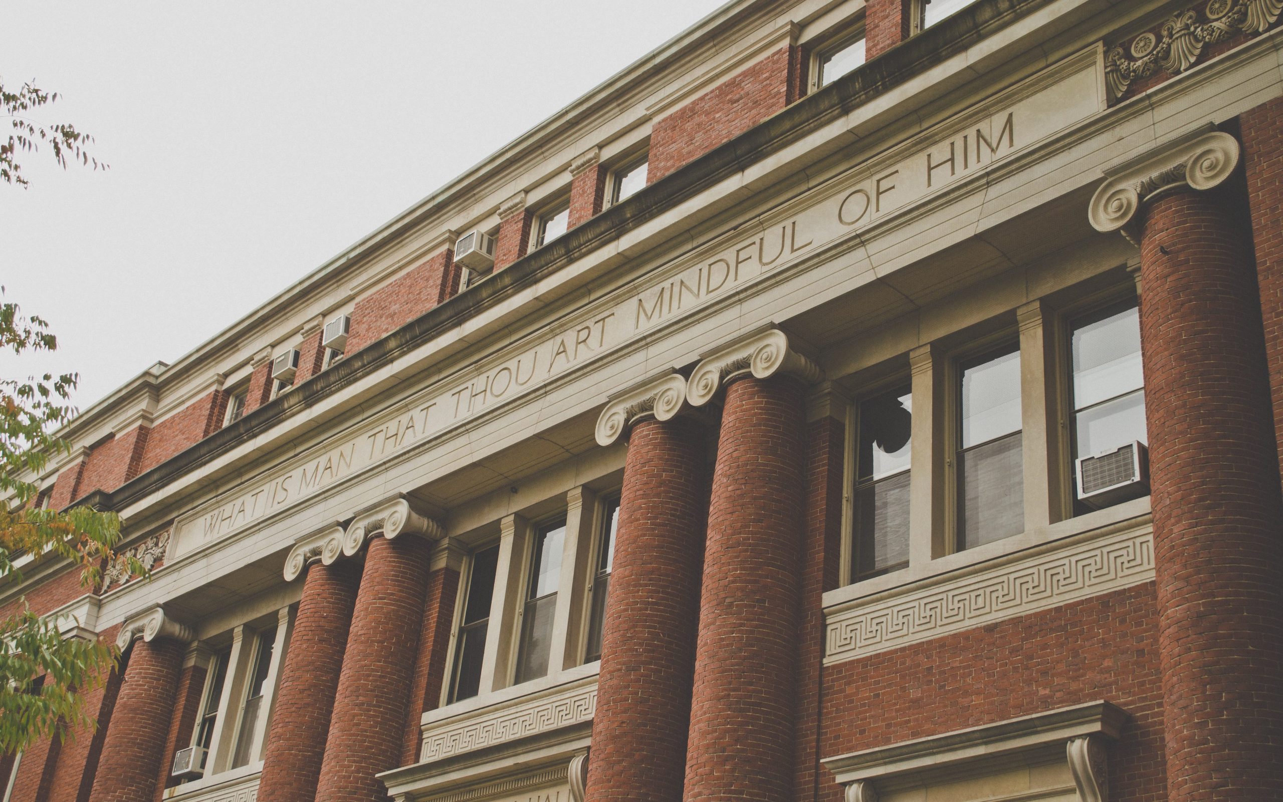 cs50 harvard university